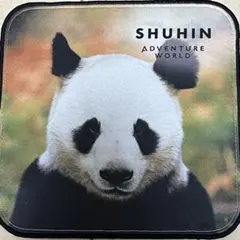 2026年最新】アドベンチャーワールド タオルの人気アイテム - メルカリ