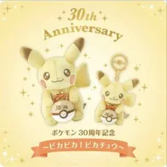ポケモン 30周年記念 ぬいぐるみ・キーホルダーセット