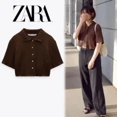 ZARA テクスチャー入り生地トップス ブラウン