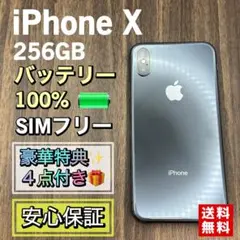 2025年最新】iPhone x 256gb バッテリー100の人気アイテム - メルカリ