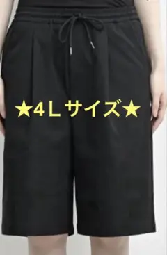 ★新品未使用★ひんやりキレイ見え高機能ハーフパンツ 大きいサイズ 4Ｌ