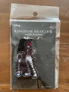 キングダムハーツ アクリルキーホルダー ソラ モンストロポリス