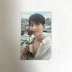 seventeen ラキドロ トレカ ドギョム beatroad ビートロード