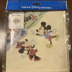 ディズニーリゾートハンドタオル　新品未使用