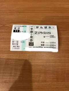 JRA 競馬 がんばれ 投票券 毎日王冠 リアライズシリウス