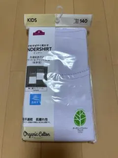 Item thumbnail for item 48c1dff2-0c08-4a8b-9fae-9f3c7dc43345