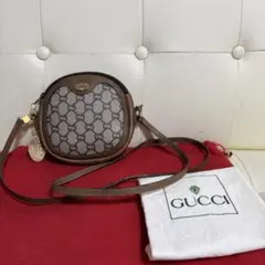 未使用　付属品完備　GUCCI plus オールド　グッチ　2way バッグのサムネイル