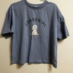 エヘカソポ　Tシャツのサムネイル
