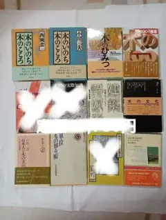 Item thumbnail for item 88b3fd69-652d-48ab-9cb3-78a8d2c8cefb