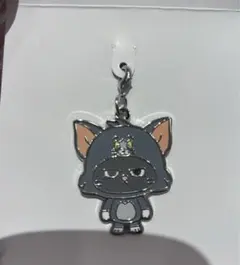 BOYNEXTDOOR トムジェリ　メタルチャーム　プネクド　テサン　テップン