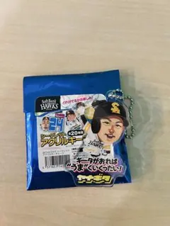 【柳田悠岐】シークレットアクリルキーチェーン TVQ