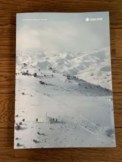 Item thumbnail for item 8d2ddc18-aad0-4a2a-b9c9-4a2a1e009b32