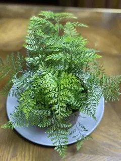 hinanami様 リクエスト 3点 まとめ商品