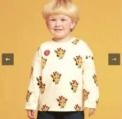 Item thumbnail for item 413c40c8-4b43-4ccd-8c88-36a9e11d6e44