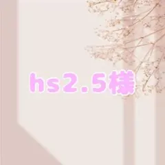 hs2.5様 リクエスト 2点 まとめ商品