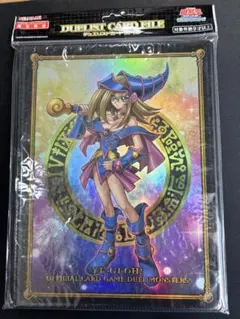 遊戯王　デュエリストカードファイル