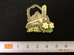 Item thumbnail for item d1e66016-a84d-45dc-aba9-0c84f3b7cfb9