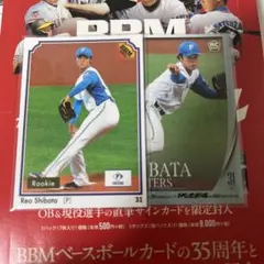 柴田獅子 プロ野球 BBM 35周年 週刊ベースボール4000号記念 2025