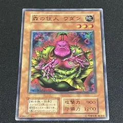 2025年最新】森の住人ウダンの人気アイテム - メルカリ