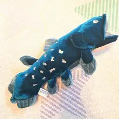 COLORATA シーラカンス　魚　ぬいぐるみ カロラータ　ビッグサイズ　大きい