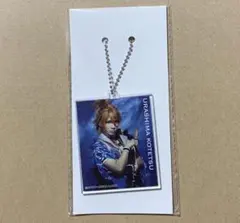 【未開封】刀剣乱舞　静かの海のパライソ　DMMスクラッチ　浦島虎徹　キーホルダー