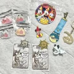 ディズニーグッズまとめ売り ピンバッジ等 40周年 リルリンリン ソアリン 香港