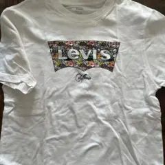 Levi's カラフルTシャツ