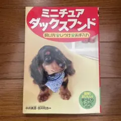 Item thumbnail for item cc451e80-72f3-4ddf-adb9-b51d5f22c801