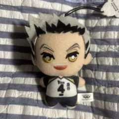 ハイキュー!! 木兎光太郎 ぬいぐるみ サンリオコラボ