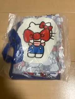 InRed10月号増刊特別付録ハローキティ ポーチ3点セット