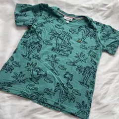 LACOSTE パームツリー柄 Tシャツ 6サイズ116cmのサムネイル