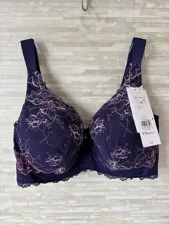 F85」トリンプ プレミアム レッドレーベル 輝くばかりの美しさ フルカップブラ