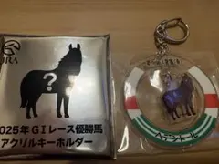 2025年G1レース優勝馬アクリルキーホルダー