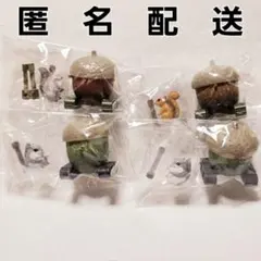 どんぐりタンク ボックス版 まとめ売り