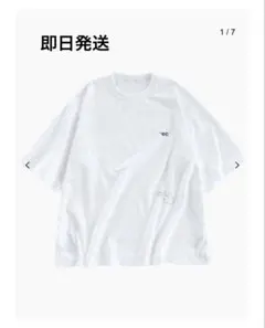 希少the Editor