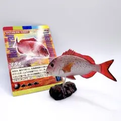 Item thumbnail for item cd271cfa-152b-4740-806a-8c10eab022eb