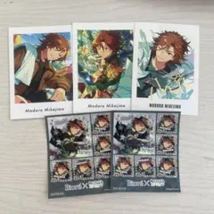 三毛縞斑 ぱしゃっつ