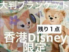 ◾️香港ディズニー限定　大判タオル　新品　リーナベル　ダッフィー