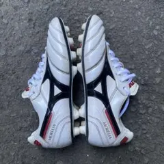 2026年最新】モレリアネオ2の人気アイテム - メルカリ