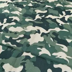 Item thumbnail for item 8325c106-c6d8-4def-ae76-4bc6ad0728af