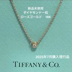 2025年最新】ティファニー バイザヤード ネックレス ローズゴールドの