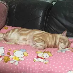 ポン酢様専用