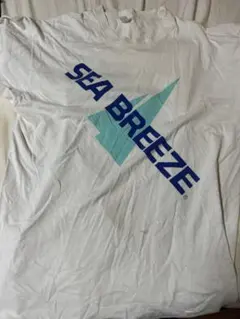 Item thumbnail for item 2362a37f-7183-42f8-9042-57b22f6b0119