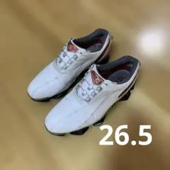 2025年最新】フット ジョイ xps 1の人気アイテム - メルカリ