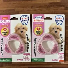 Item thumbnail for item bad4733b-1bf0-4c20-b3e7-e17861ae8bb6