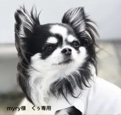 myry様 くぅ専用 ①