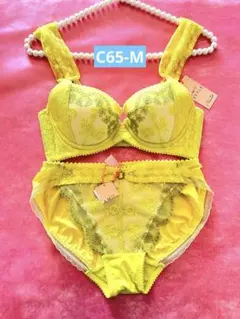 トリンプ　ブラ&ショーツセット　C65M 気持ちが上がる！ビタミンカラー