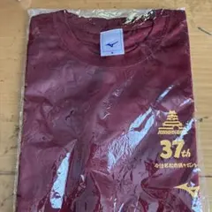 Item thumbnail for item ef860d99-09d8-4450-a096-539dc3c81501