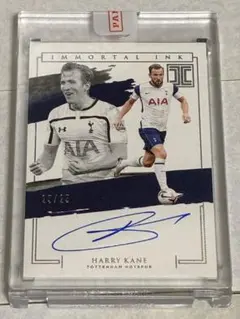 panini impeccable Harry Kane ハリーケイン