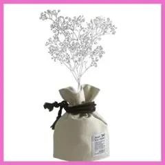 Item thumbnail for item b45e1f61-fbb4-44f0-9f23-e23cb1d8893e